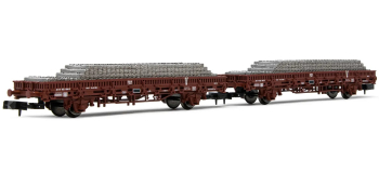 HN6543 - Set de 2 wagons plate-forme 