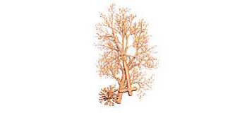 DOMU03901 - Arbre à floquer, 18 cm (x 1) - Domus