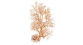 DOMU03901 - Arbre à floquer, 18 cm (x 1) - Domus