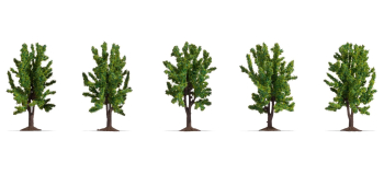 NO 25620 - Arbres feuillus 8 cm, 5 pcs - Noch