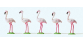 PR20372 - 5 flamants roses - Preiser